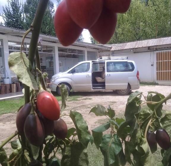 هتل Wayra Hospedaje