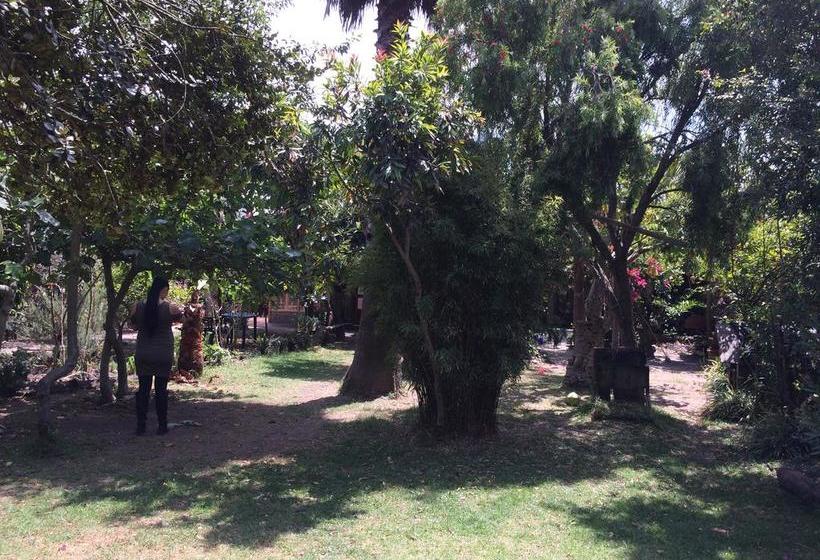 ユースホステル Hostal Guaque