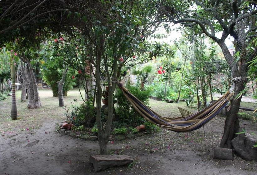 ユースホステル Hostal Guaque