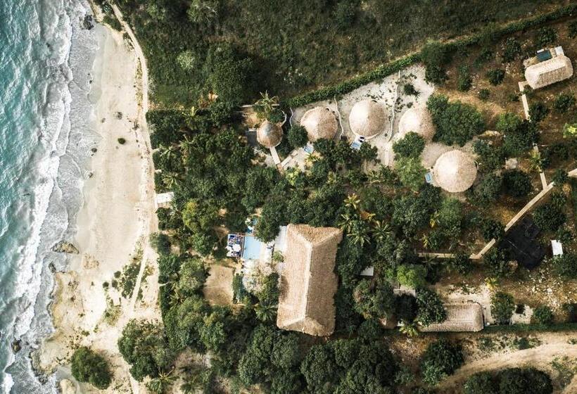 酒店 Blue Apple Beach