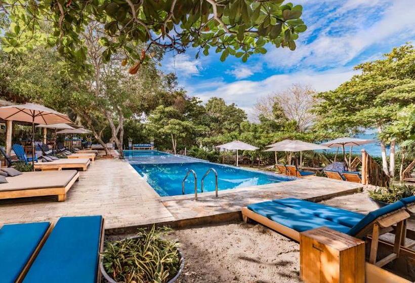 酒店 Blue Apple Beach