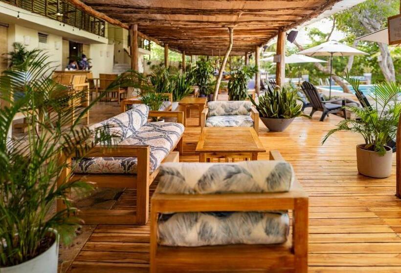 酒店 Blue Apple Beach