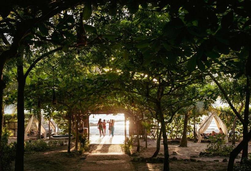 酒店 Blue Apple Beach