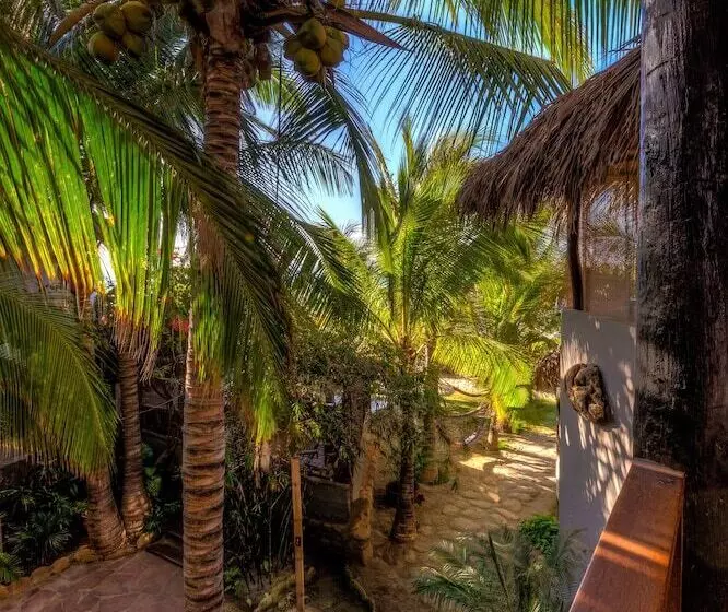 Hotel Las Olas