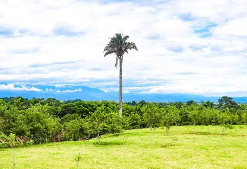 Hotelli Quindio Campestre