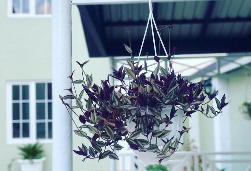 پانسیون Villa Yard