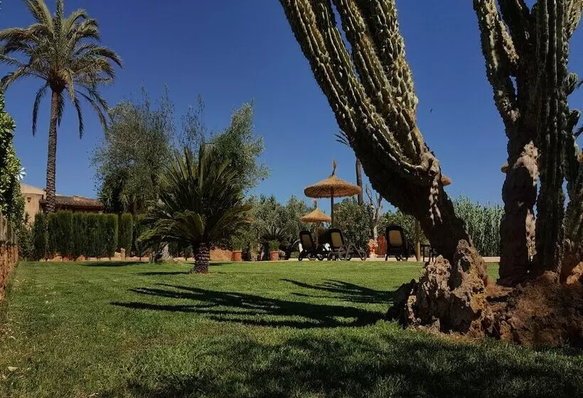 Otel Finca Son Sala