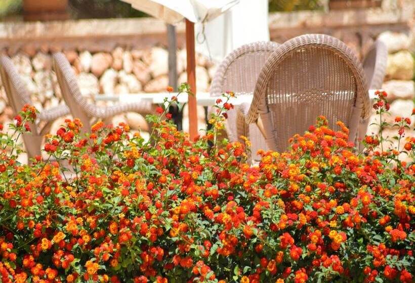 هتل Finca Son Sala