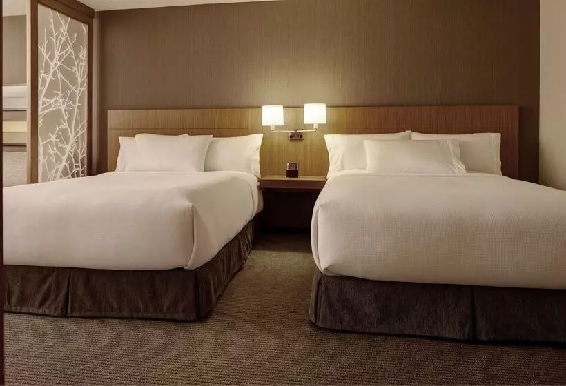ホテル Hyatt Place Madison/verona