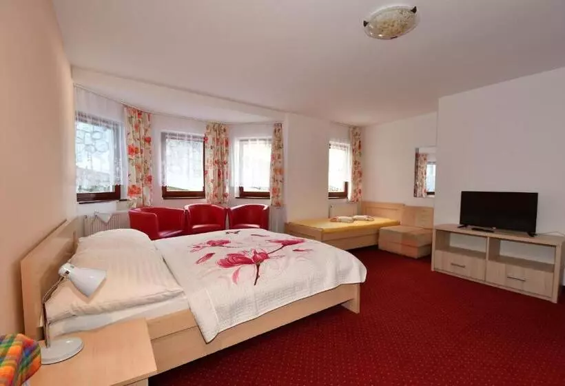Hotelli Penzion Lesna
