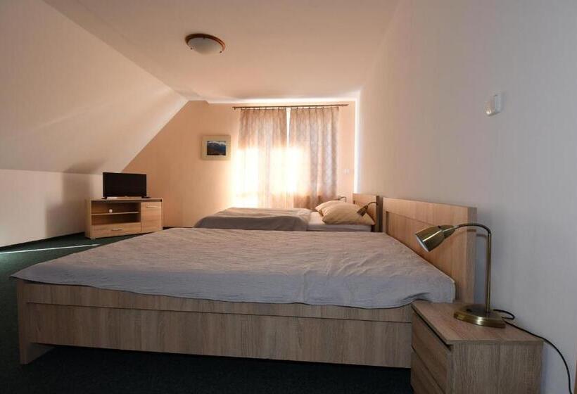 בית מלון כפרי Penzion Lesna