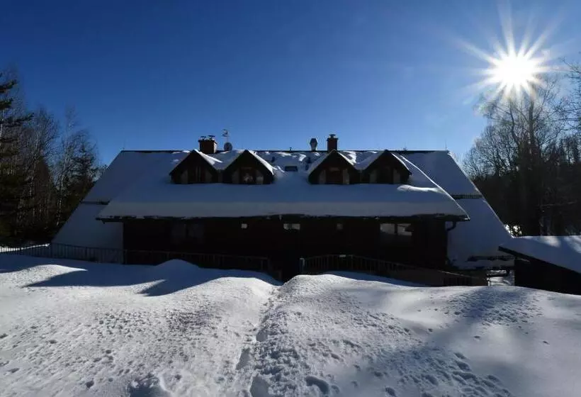 Hotelli Penzion Lesna