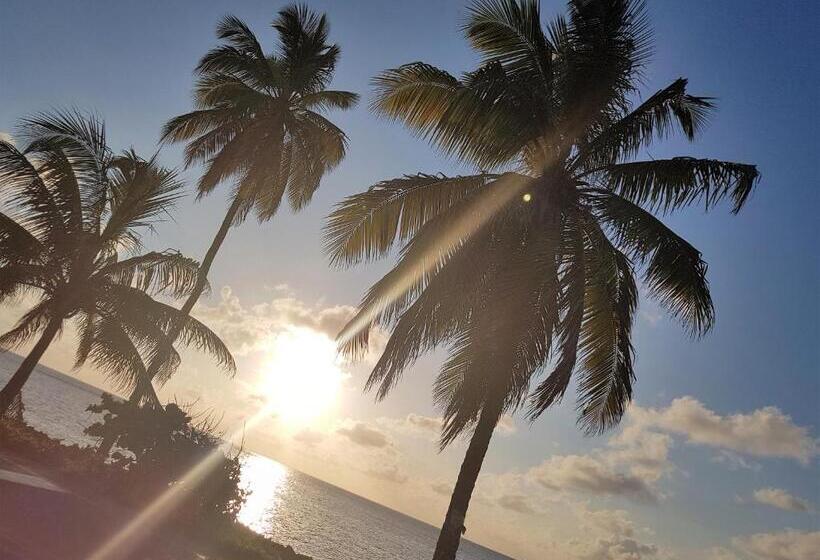 هتل Playa Tranquilo B&b And Dive Shop