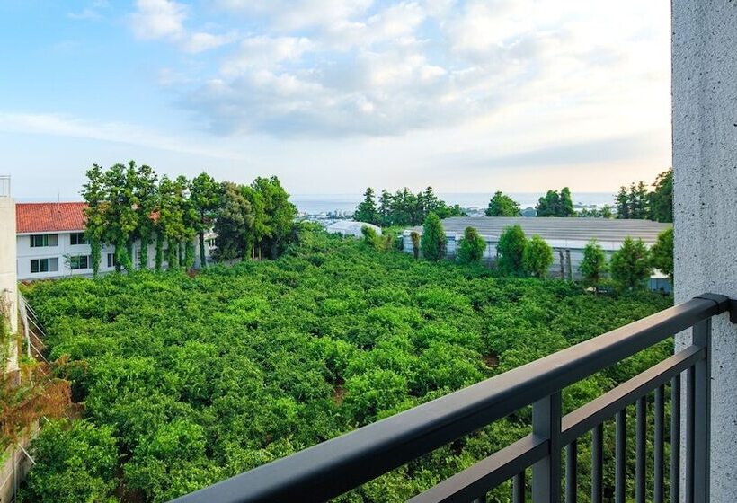 Jeju Inhouse Pension