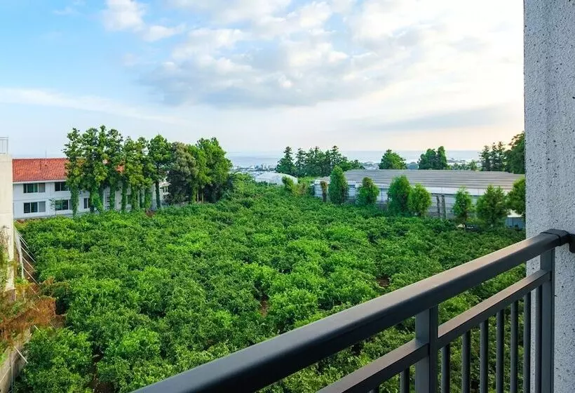 Jeju Inhouse Pension
