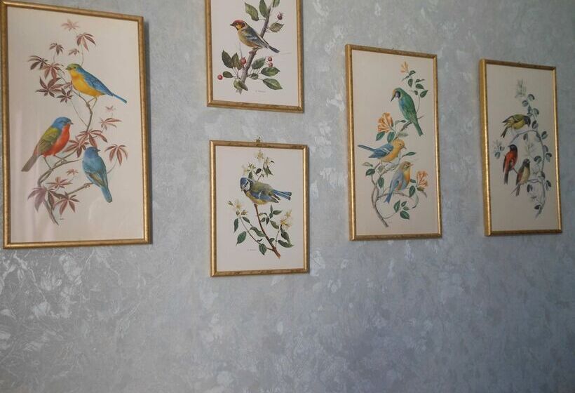 تختخواب و صبحانه Au Soleil D'albi