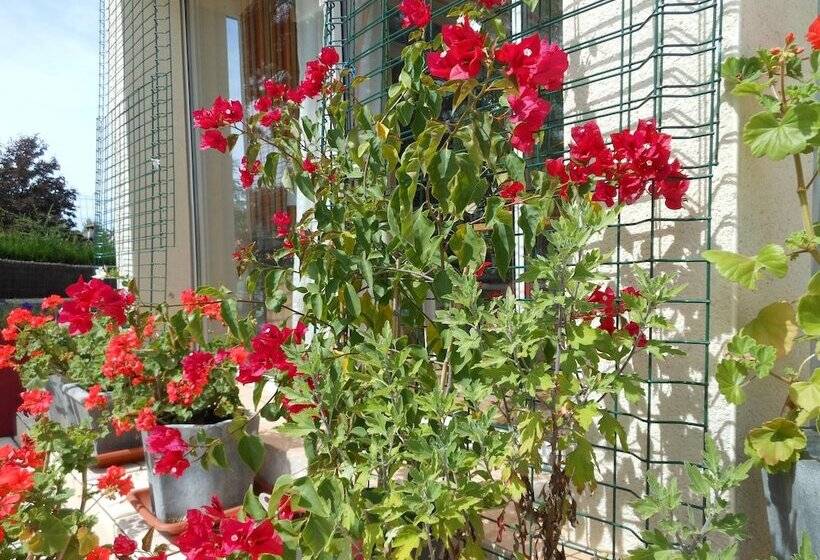 تختخواب و صبحانه Au Soleil D'albi