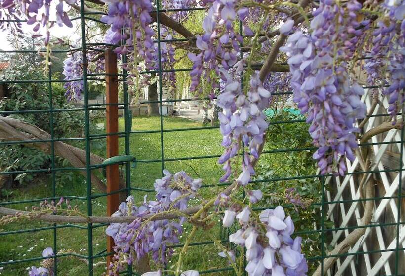 تختخواب و صبحانه Au Soleil D'albi