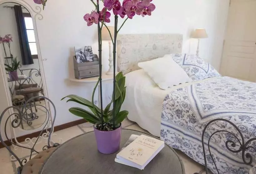 تختخواب و صبحانه Une Maison à Saint Paul De Vence