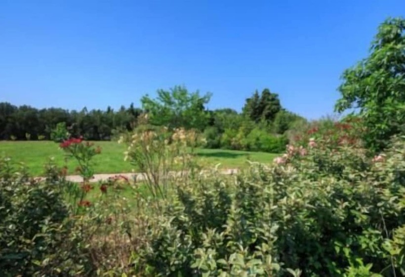 住宿加早餐  Une Parenthese Pour Deux