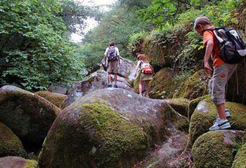 Bed and Breakfast Yec'hed Mat