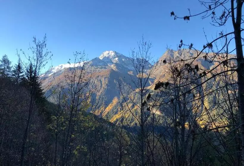 Hotelli Black Diamond Lodge