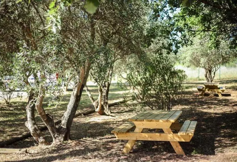 Hotelli Ibis Budget Le Cannet Des Maures