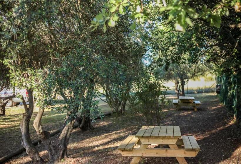 호텔 Ibis Budget Le Cannet Des Maures