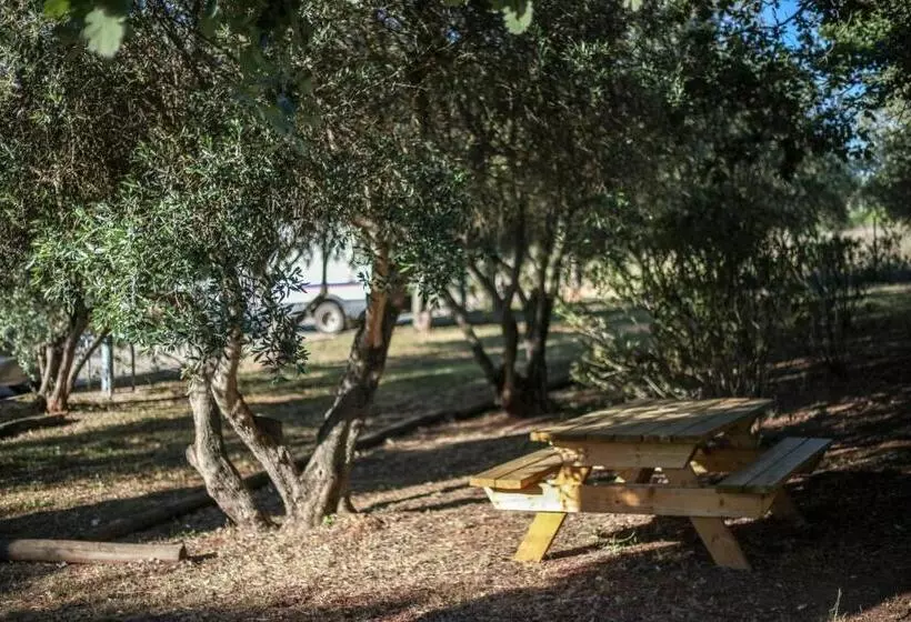 Hotelli Ibis Budget Le Cannet Des Maures