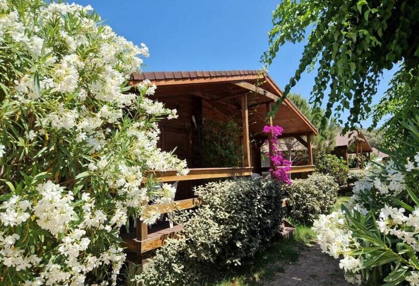 Отель Mare E Monti