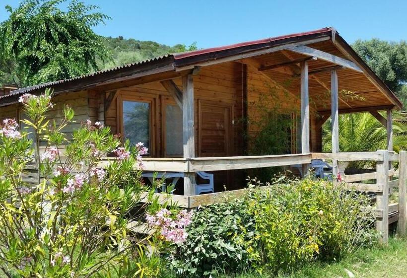 Отель Mare E Monti