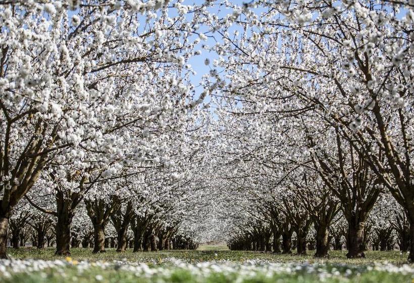 Le Clos D Estellan   Piscine Chauffée