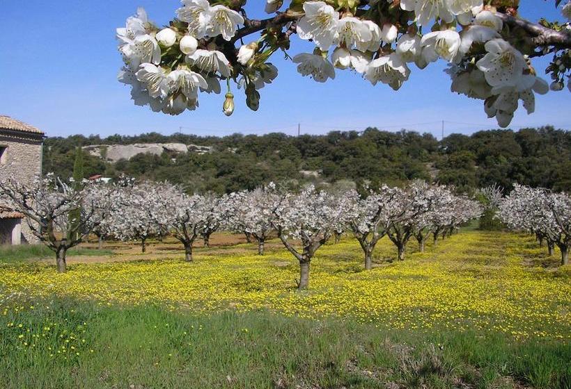 Le Clos D Estellan   Piscine Chauffée