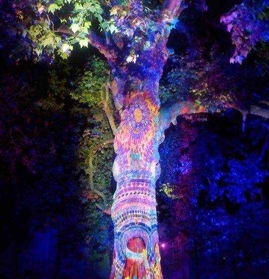 住宿加早餐  Gîte La Mer