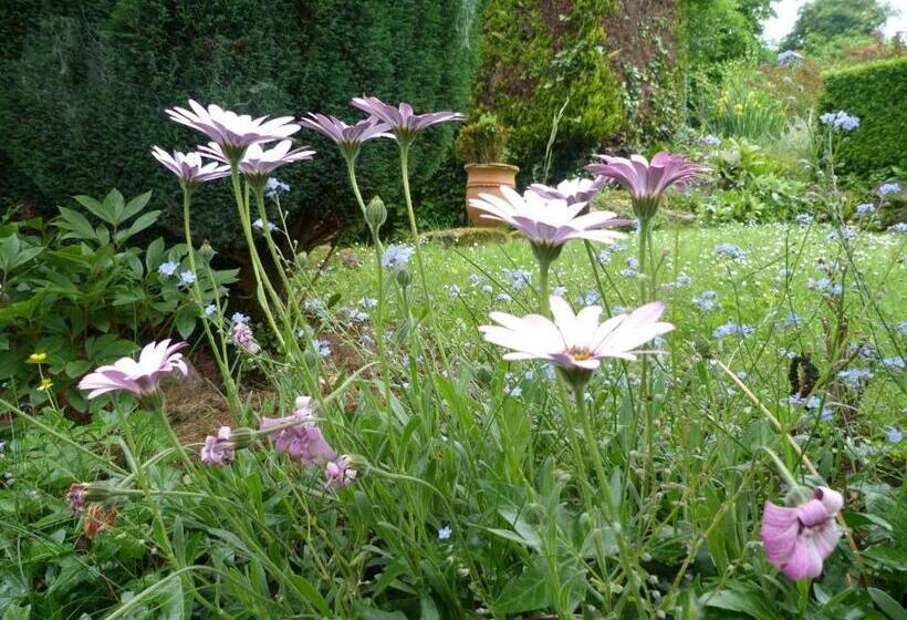 تختخواب و صبحانه Le Logis Du Jerzual