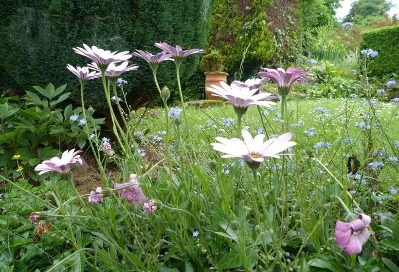 Bed and Breakfast Le Logis Du Jerzual