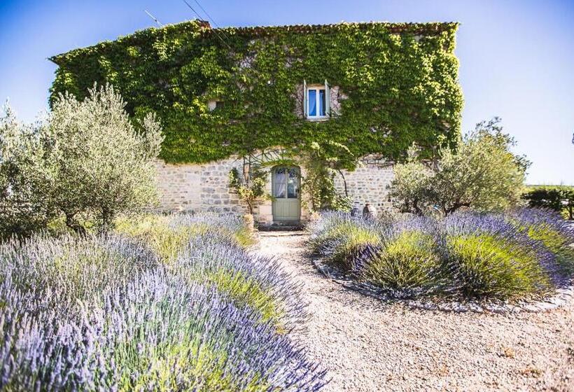 צימר La Flor Azul