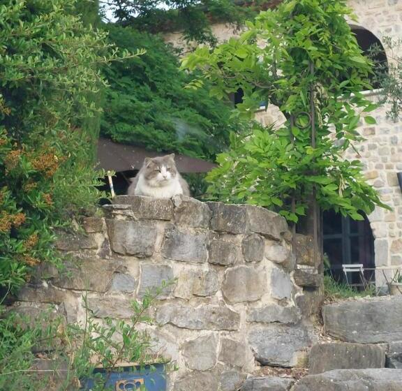 צימר La Flor Azul