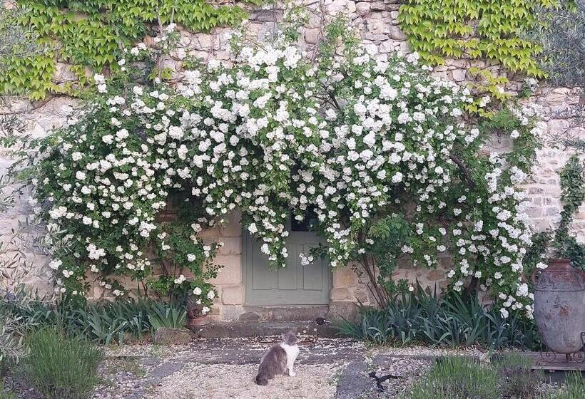 צימר La Flor Azul