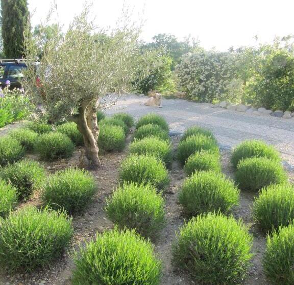 צימר La Flor Azul