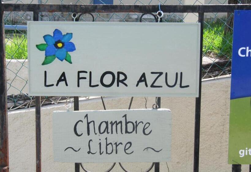 צימר La Flor Azul