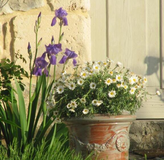 צימר La Flor Azul