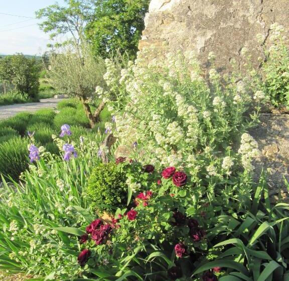 צימר La Flor Azul