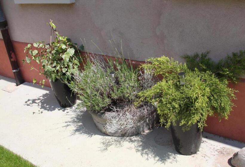 Bed and Breakfast Le Kiosque Amiens Chambres D'hôtes