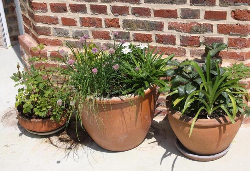 Bed and Breakfast Le Kiosque Amiens Chambres D'hôtes