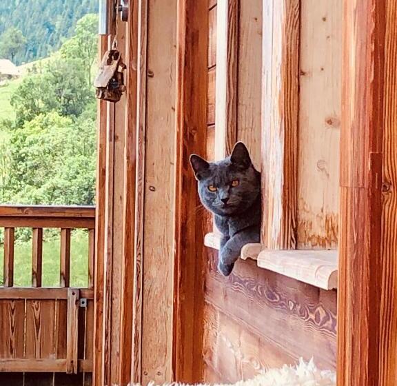 تختخواب و صبحانه Le Paret Chambres D Hôtes De Charme & Spa