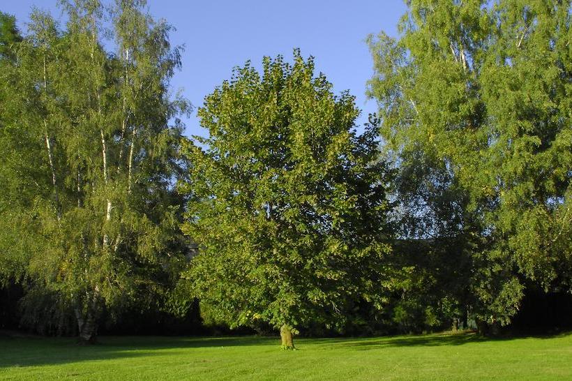 בית מלון כפרי Celisol Cerdagne