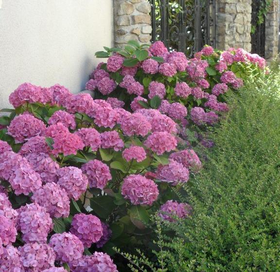 هتل Anjou A L Oceane Angersle Mans