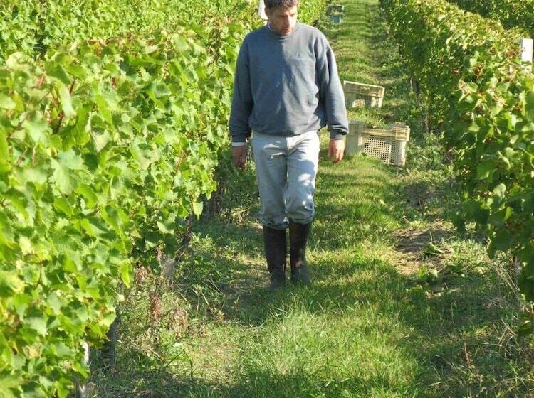 B&b Les Secrets De Tifayne