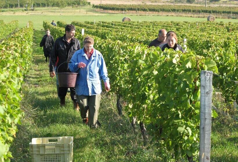 B&b Les Secrets De Tifayne